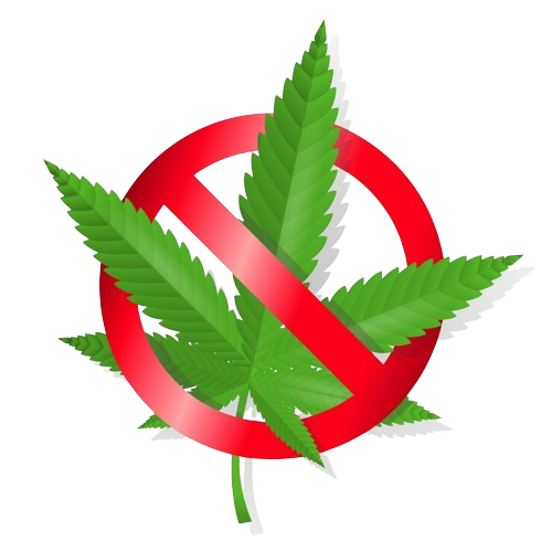 Marijuana Addiction Treatment in Patna