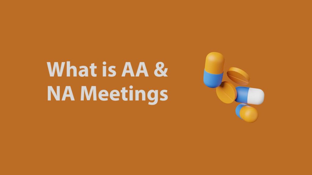 What is AA & NA Meetings